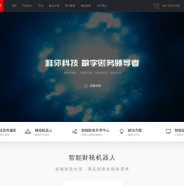 唯你科技-数字财务领导者