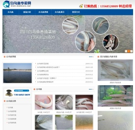 白乌鱼_成都白乌鱼专卖_内江白乌鱼鱼苗批发电话13568520809