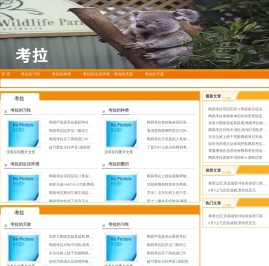 考拉