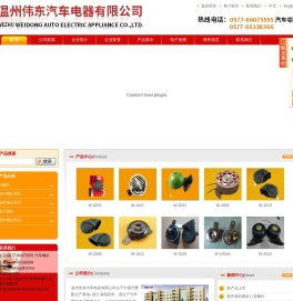 温州伟东汽车电器有限公司