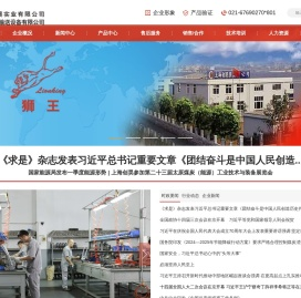 上海创昊-狮王皮带扣,狮王输送带扣,输送带钢扣