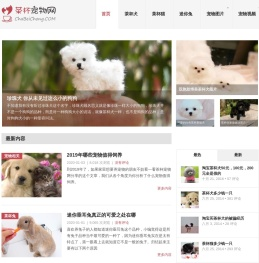 茶杯犬,茶杯猫,小香猪,迷你袖珍泰迪贵宾狗 - 茶杯宠物网
