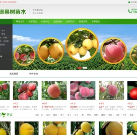 果树苗多个品种_桃树苗_梨树苗_杏树苗等_唐姗果树种植专业合作社