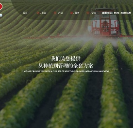 青岛爱益七海进出口有限公司