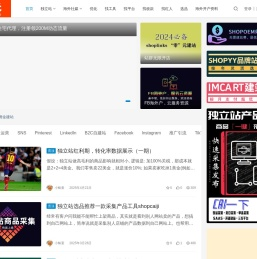 工作经历记录，SHOPYY独立站搭建，SHOPIFY仿牌建站，OEM站群搭建