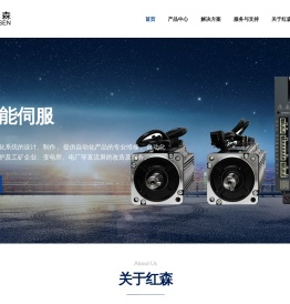 广州红森伺服电机有限公司