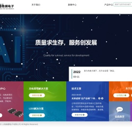 上海驰骥电子有限公司