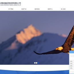 广东博纳融资租赁有限公司