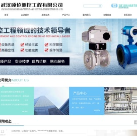 武汉硕伦测控工程有限公司