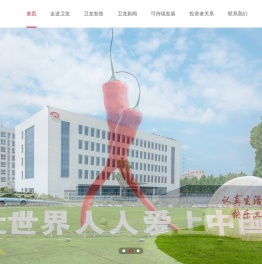 卫龙丨让世界人人爱上中国味