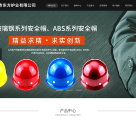 天长市东方护业有限公司