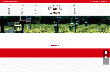 英亨茶叶