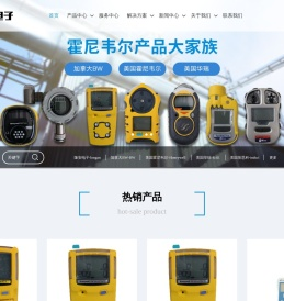 气体报警器-济南隆安电子有限公司