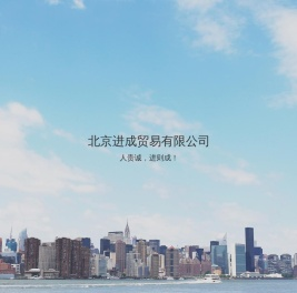 北京进成贸易有限公司