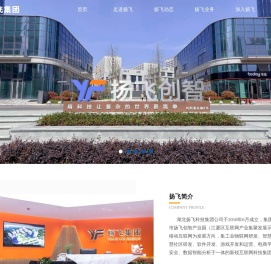湖北扬飞科技集团有限公司_扬飞集团