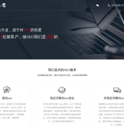 seo-网站优化-关键词排名-新站整站快速排名-十二君