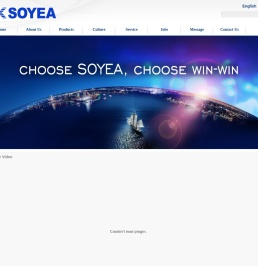 ShangHai Soyea Electrical Co.,Ltd,ChinaSoyea,索伊电器