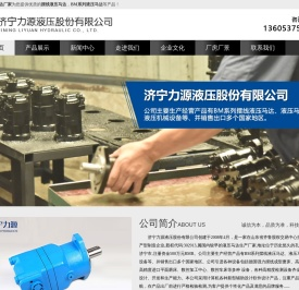 液压马达_摆线_BM系列-济宁力源液压马达厂家