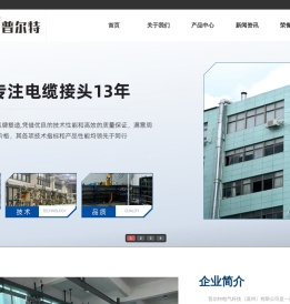 接线盒_电缆接头_防水接线盒-普尔特电气科技（温州）有限公司