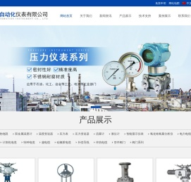 安徽一仪自动化仪表有限公司