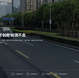 广西汽车集团有限公司-广西汽车