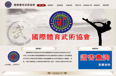 国际体育武术协会