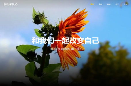边果互动-网站建设-微信抖音小程序-互动H5