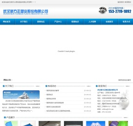 武汉新方正塑业股份有限公司