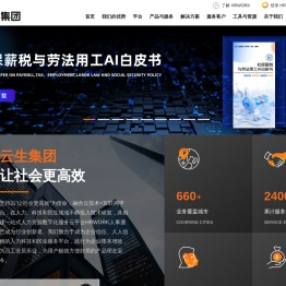 云生集团 | 企业薪酬社保个税外包，一站式智慧人力共享中心，智慧政务解决方案