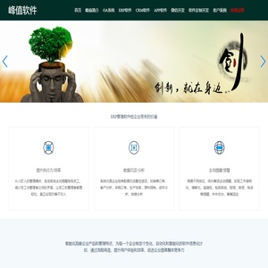 峰值软件，20年创新型ERP管理软件系统