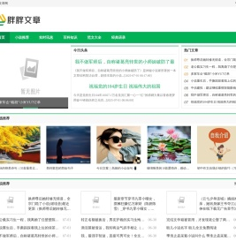 胖胖文章网