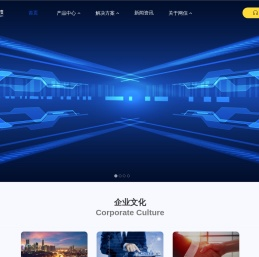 可信赖的数智化专家 - 青岛网信信息科技有限公司
