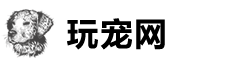 德敛宠物网 – 宠物产业互联网服务平台