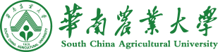 华南农业大学-工程力学精品资源共享课