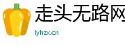 走头无路网