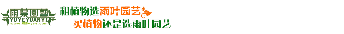【成都租花】郫都区|郫县植物租赁|郫县植物租摆|郫县租花|郫县盆栽出租| - 成都雨叶园林景观设计有限公司
