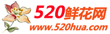 520鲜花网-鲜花速递,鲜花网站送花上门,网上订花,鲜花配送网上花店1