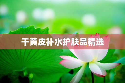 云美网