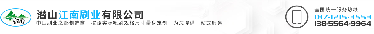 不锈钢丝条刷_烟气|台车|推焦车|钢刷密封|密封钢丝刷条厂家-潜山江南刷业有限公司