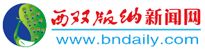 首页-西双版纳新闻网