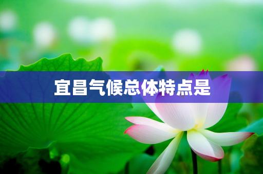 气候报告知识