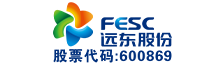 远东控股集团有限公司