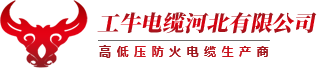 工牛电缆_工牛电缆河北有限公司