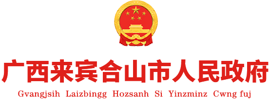 广西来宾市合山市人民政府门户网站