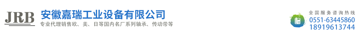 安徽嘉瑞工业设备有限公司