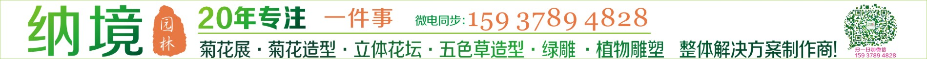 菊花立体花坛_菊花展设计_菊花展施工_菊花展布展-河南纳境园林
