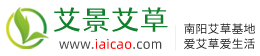 爱艾草网 - 艾条艾柱艾灸盒，南阳艾草批发交易平台