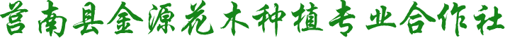 莒南草花基地|临沂草花基地|山东草花基地-莒南县金源花木种植专业合作社