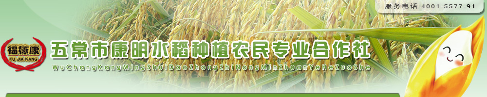 五常大米-五常市康明水稻种植农民专业合作社