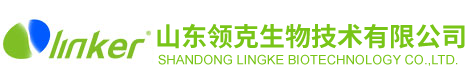碳酶水溶肥_领克肥料-山东领克生物技术有限公司